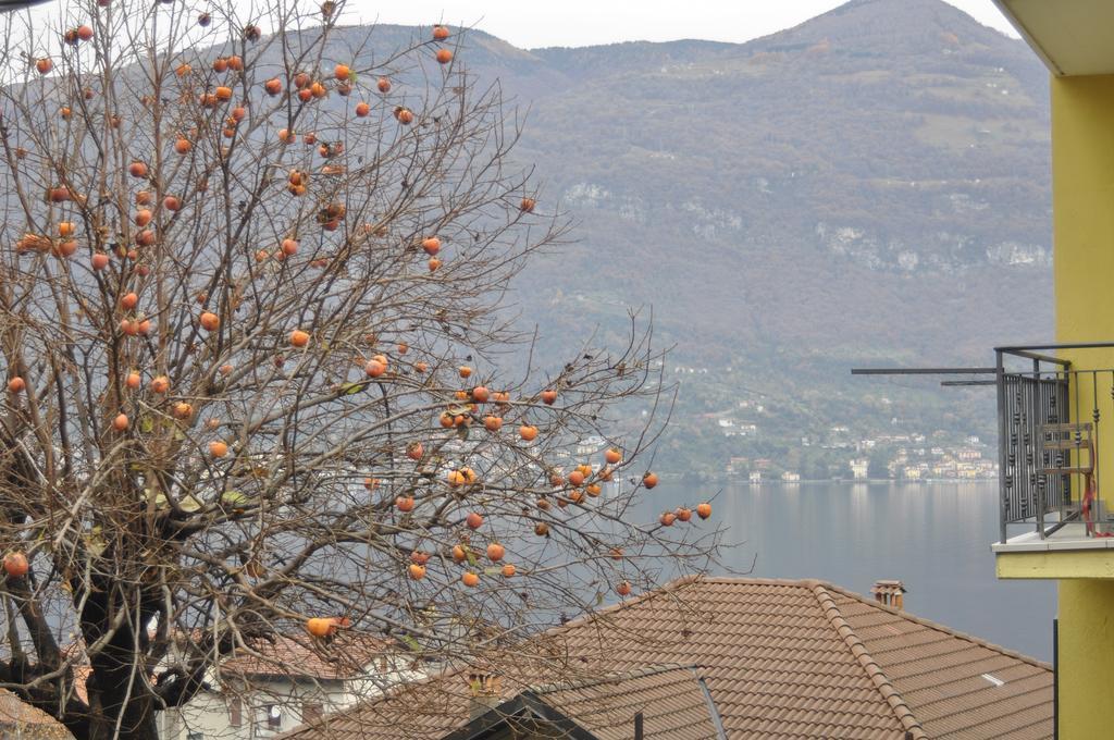 Casa Katia Apartment Lezzeno Bagian luar foto