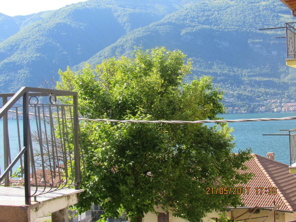 Casa Katia Apartment Lezzeno Bagian luar foto